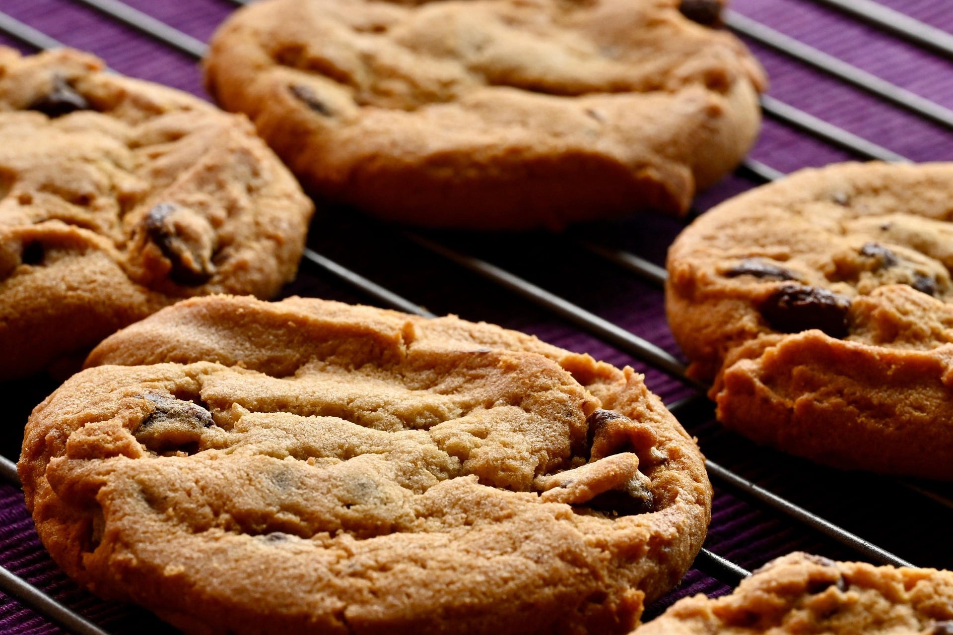 Cookies - SR Campos Advogados
